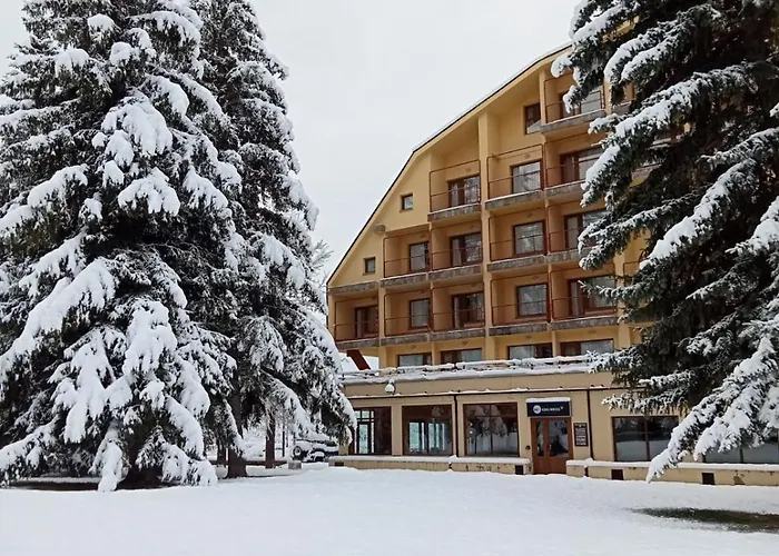 Apartamentos Snoe Cerler