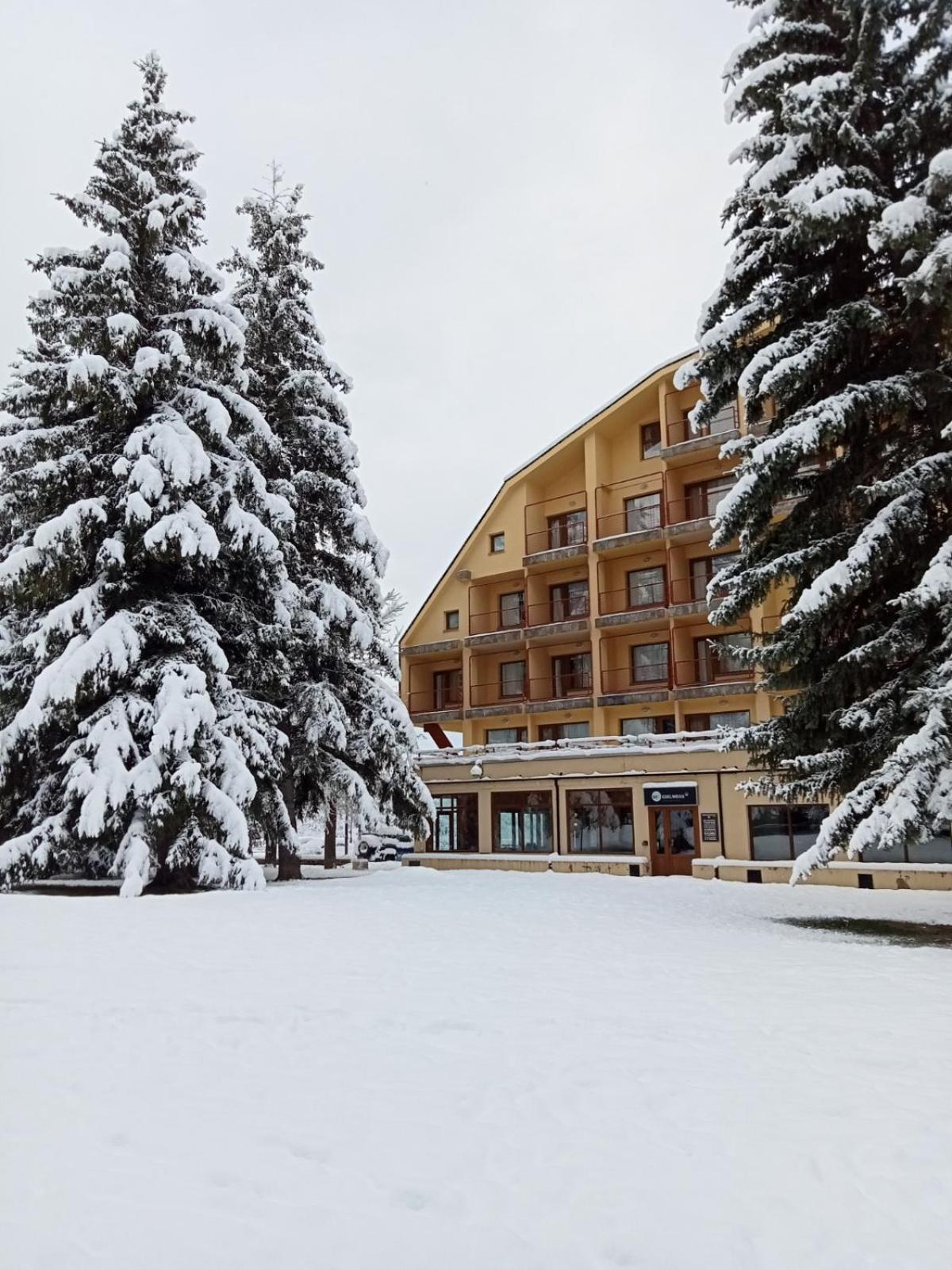 Apartment Snoe *